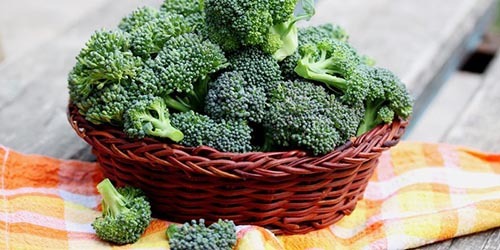کلم بروکلی حاوی فیبر برای کاهش اشتها و لاغری