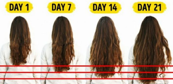 ماسک مو برای رشد سریع مو بلند کردن مو در 21 روز
