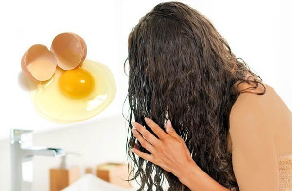 درمان موی چرب با تخم مرغ